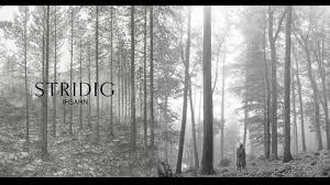 Folklore is the eighth studio album by taylor swift. Ihsahn Reacts To Taylor Swift S Folklore Album Cover Metal Insider