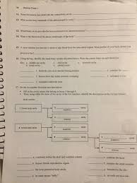 Please Write Neatly And Answer All Questions. Directional Terms, Planes,  And Sections 3. Define Plane 4 From The Choices. Use Each Term Only Once:  Posterior, Superior, Anterior, Inferior, Proximal, Transverse, Distal,  Lateral,