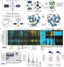 We have a huge free dvd selection that you can download or stream. Biophysical Basis Of Cellular Multi Specificity Encoded In A Model Molecular Switch Biorxiv