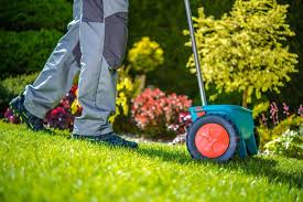 It's never too late to apologize. How To Reseed Or Overseed A Lawn In 6 Easy Steps Mymove