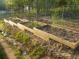 How to build a raised garden bed on a slope. 20 Hillside Vegetable Garden Ideas Magzhouse