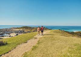 Bingi Dreaming Track Eurobodalla National Park In 2021 Batemans Bay National Parks Beautiful Beaches