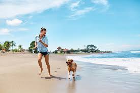With more than a decade of experience, we can guarantee that the welfare of. Pet Travel Pet Relocation Pet Transport