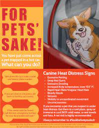 Each pet is current on shots, is spayed/neutered, and has a microchip. Kansas Transportation For Pets Sake How You Can Rescue A Pet In Need