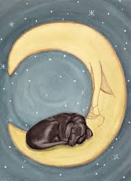 Things to do near garden of the sleeping giant. Pin By Alisha Hundley On Perros In 2021 Black Labrador Retriever Black Labrador Labrador Retriever