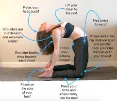 Camel pose stretches the front of the body including the chest, abdomen, and quadriceps. Pin On Fit