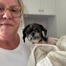 We are having a chihuahua party over here at FFF! They are coming in all  shapes and sizes from various shelters. Thank you to Shannon Feretich and  Cathy Gasper for tag teaming