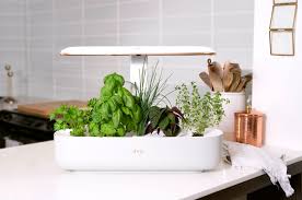 A dream kitchen isn't necessarily … Ava Byte Smart Simple Sustainable Indoor Garden Indiegogo