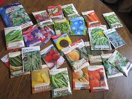 Thecouponproject.com a simple plastic mister from the dollar store can serve so many purposes in your garden. 10 Amazing Dollar Store Gardening Tools The Budget Diet