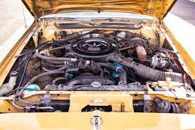 Image result for Golden Fawn 1976 Fury