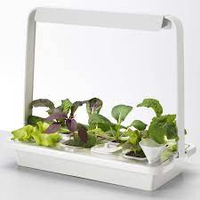 New From Ikea A Hydroponic Countertop Garden Kit Gardenista Indoor Vegetable Gardening Hydroponic Gardening Hydroponics Diy