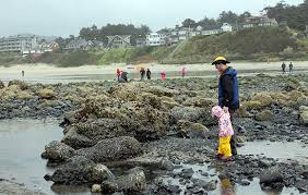 Maybe you would like to learn more about one of these? Oregon Coast For Kids Seaside And Cannon Beach