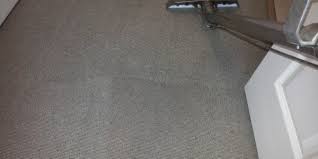 About us dinno's carpet cleaning & pest control specialises in carpet cleaning and pest control in brisbane. Carpet Cleaning Morayfield Pest Control From 15 A Room