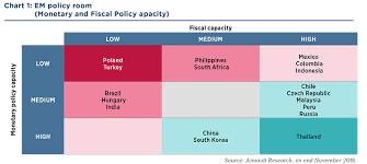 In this regard, most countries will undertake countercyclical measures to cushion the impact and support economic growth. Emerging Markets Outlook Getting Out From Twin Shocks 12 2018 Article Research Center