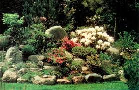 Jars V40n3 Rhododendrons And Scandinavian Design Landscaping With Rocks Large Backyard Landscaping Rock Garden