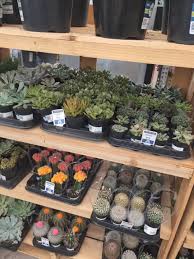 The Whitt Wedding 🤍 Kylie Whitt & Kaden Whitt White Springs, Hamilton  County, FL #weddingphotography #weddingcontent