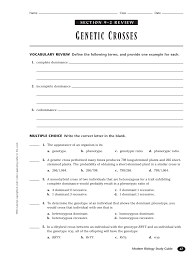 In the years since, geneticists have validated his basic conclusions and we now know they describe the first principles of genetics. Worksheet 9 2