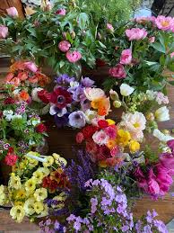 Read reviews from joys flowers at 2412 west end ave in nashville 37203 from trusted nashville restaurant reviewers. Ccgd9bzuvb Orm
