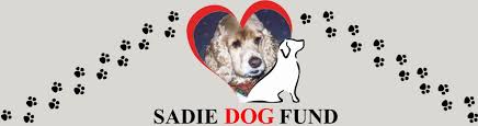 Maybe you would like to learn more about one of these? Partners Sadie Dog Fund