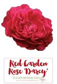 Names And Types Of Red Wedding Flowers With Seasons Pics Red Wedding Flowers Wedding Flower Types Red Flower Names
