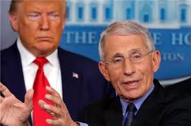 Unit of length, equivalent to 6 feet. Anthony Fauci