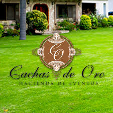 Tlaquepaque es pueblo mágico, tradición, sabor, gente, cultura. Salon De Eventos Joanna Tlaquepaque The Best Undercut Ponytail