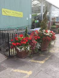 Matlock Garden Centre Blue Diamond Garden Centre Lifestyle Layout Landscape Visual Merchandising Www Clearretailgroup Garden Center Plants Garden