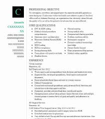 Virtual Assistant Resume Example Virtually Done By Debbie Cambridge Massachusetts