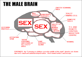 Hasil carian imej untuk funny sex
