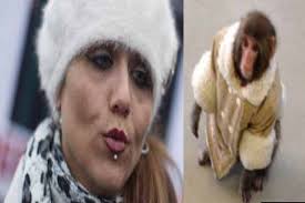 Ikea monkey won't be returned to 'Mom' Yasmin Nakhuda