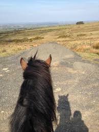 He mounted his horse and galloped off to sound the alarm. Galloped Up The Hill View From The Top Picture Of Sheans Horse Farm Armoy Tripadvisor