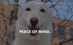 Maybe you would like to learn more about one of these? Training Zen Dogs Chicago