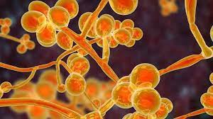 Remove old foods and fecal matter as soon as. 2jbhflwkoaxpom