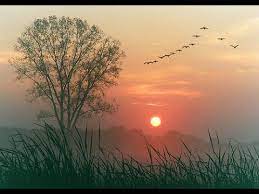 The sun rises in the east, but travels across the sky from east to west, where it sets in the west. Sun Rises In The East Youtube