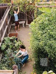 Vertical Gardens Better Homes Gardens East Sac Farms Ediblegarden Verticalgarden Urbangarden Farm Gardens Diy Garden Garden Plants