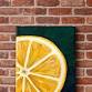 Still Life Lemon - Acrylic Paint Lesson