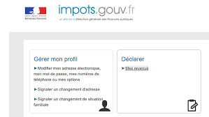 Ils doivent être déclarés en tant que bénéfices industriels et commerciaux (bic). Declaration De Revenus 2020 Documents Et Informations Dont J Ai Besoin En 2021
