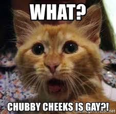 What Chubby Cheeks Is Gay Crazy Cat Meme Generator