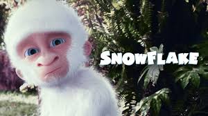 Kaylee Dodson: Movies, TV, and Bio