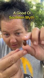 Explore Southern Myths: Weather Predictions Explained