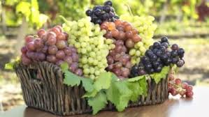 ١ رؤية الملك في المنام عند ابن سيرين. Ø§Ù„Ø¨Ø·ÙŠØ® ÙÙŠ Ø§Ù„Ù…Ù†Ø§Ù… Ù„Ù„Ø¹Ø²Ø¨Ø§Ø¡ Ø¹Ø§Ù„Ù… Ø­ÙˆØ§Ø¡ Farizmedia Com