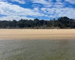 Inner coast: Lake Mattamuskeet draws outdoor enthusiasts