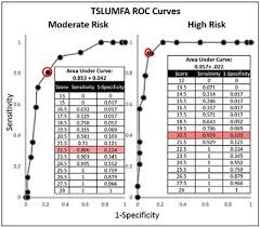 Initial Validation Of The Toulouse St Louis University Mini