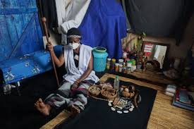 Image result for Fadogia ancylantha