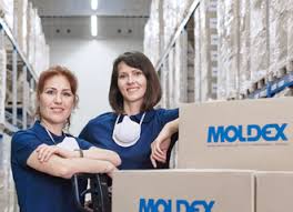 Cleans, kills and disinfects where mold and mildew grow. Moldex Atem Und Gehorschutzprodukte Moldex