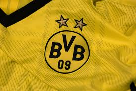 Photo by annegret hilse/pool/afp via getty images. Borussia Dortmund Player Salaries 2021 Bundesliga Salary