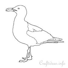 Seagull coloring pages suitable for toddlers, preschool and kindergarten kids. Seagull Coloring Page Seagull Silhouette