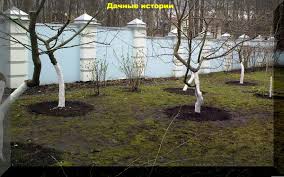 Техники обрезки