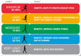 Image result for Heart Rate