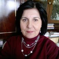 PDF) The Banat Elites involving in defence of the Magyar Kingdom southern  border during Sigismund of Luxemburg's Age